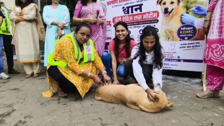 कल्याण-डोंबिवलीत ६० हजार भटक्या कुत्र्यांचे रेबीज प्रतिबंधक लसीकरण; पहिल्या टप्प्यात २० हजारांचे लक्ष्य !