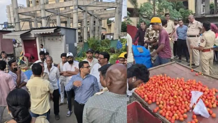 डोंबिवलीतील निळजे येथे बेकायदा आठवडी बाजारावर KDMC ची धडक कारवाई; जमीनमालकासह आयोजकांवर गुन्हा !